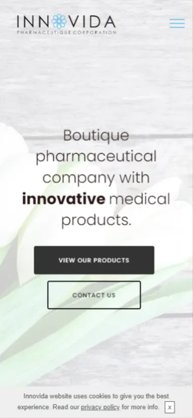Mobile Friendly Design - Innovida